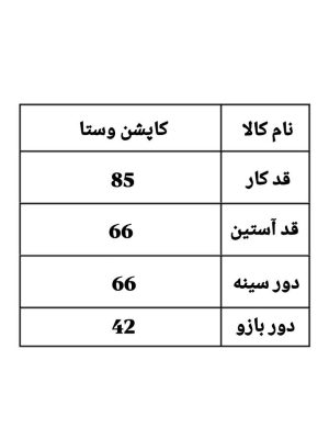 کاپشن کلاه دار وستا 1118